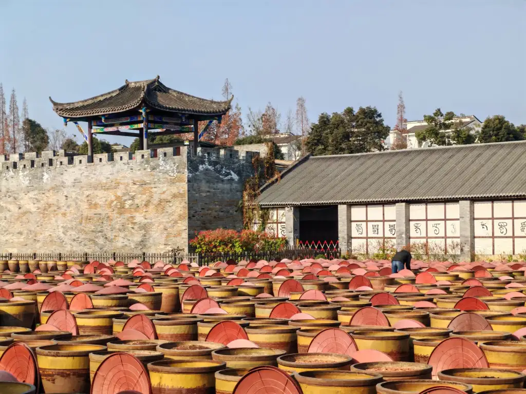 华北地区酵素果冻市场消费趋势与产品研发方向分析