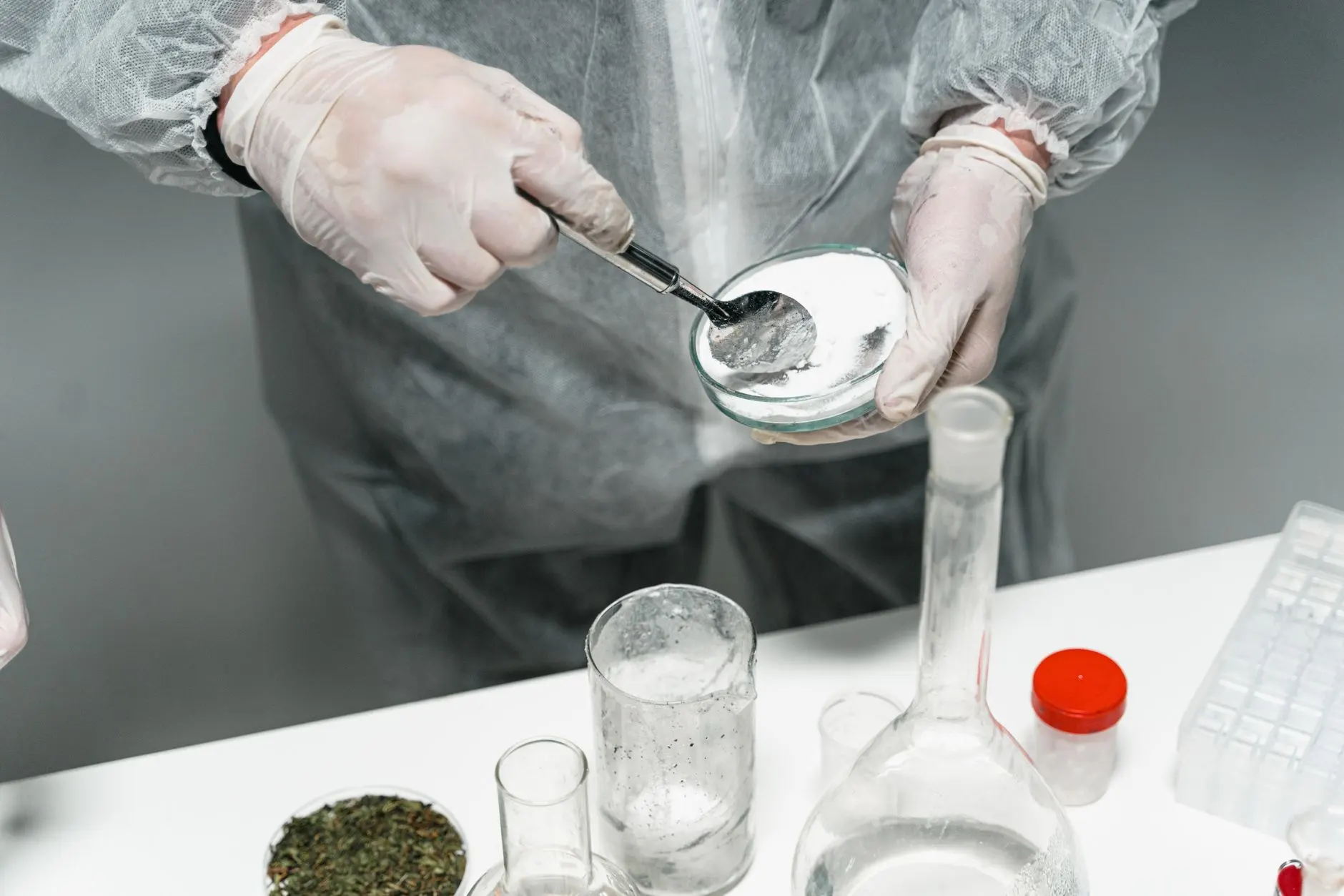 华北地区益生菌与膳食纤维复配产品的市场应用观察正文配图 2