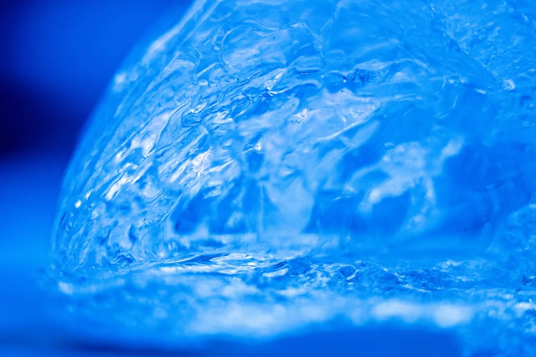 益生菌与膳食纤维复配方案在肠道调理产品中的应用分析正文配图 2