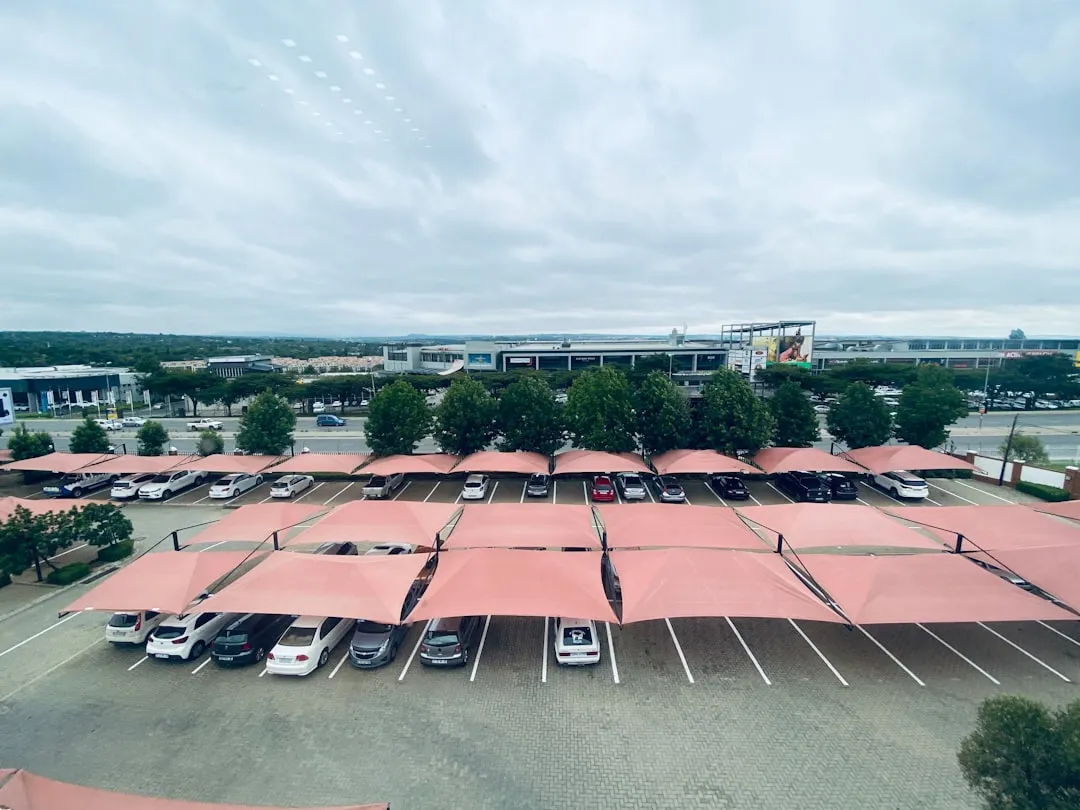 2026年酵素原液行业标准修订趋势与肠道健康产业影响分析